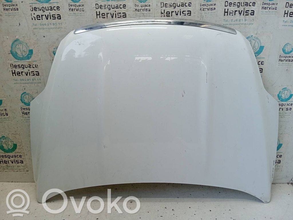 Motorhaube