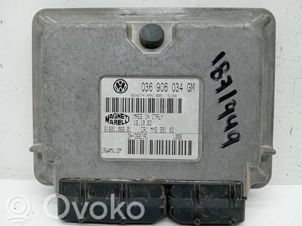 Seat Ibiza III (6L) Centralina/modulo del motore