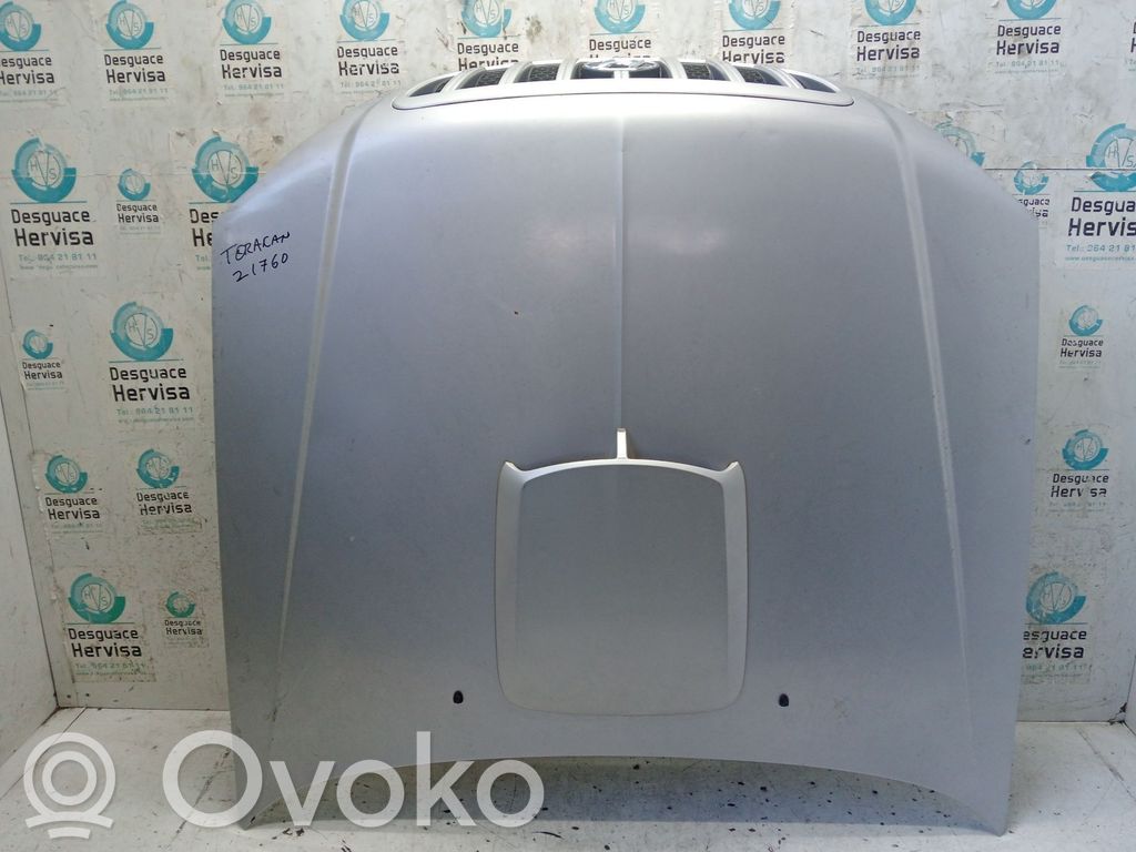 Motorhaube