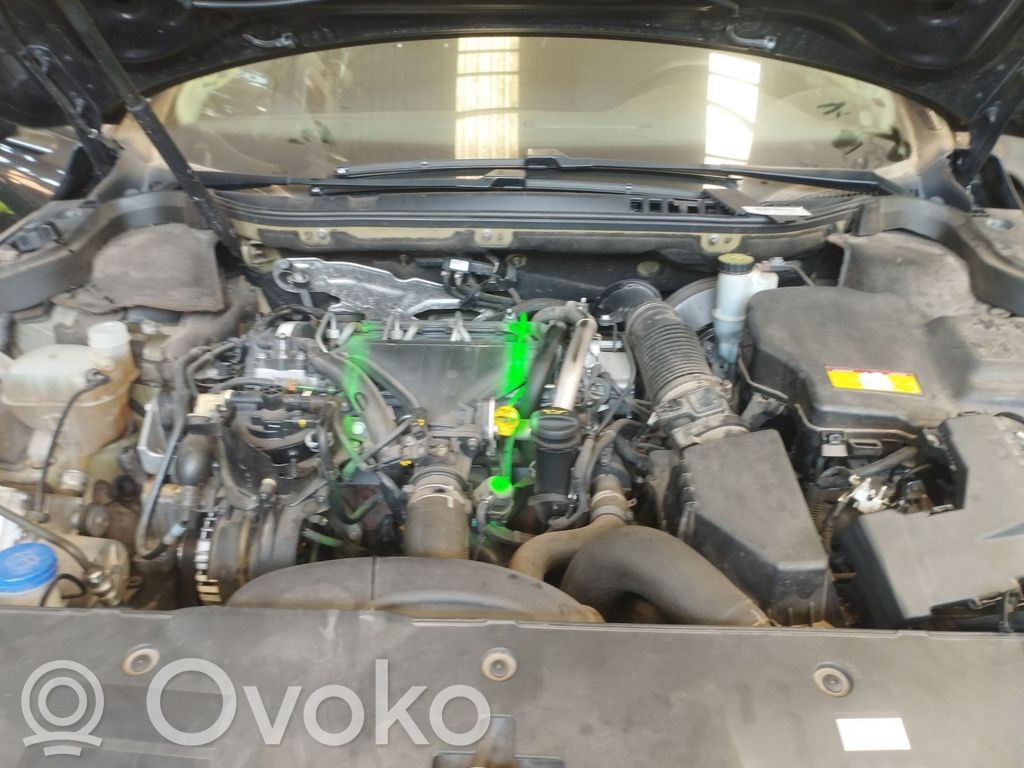 Motor   RHF