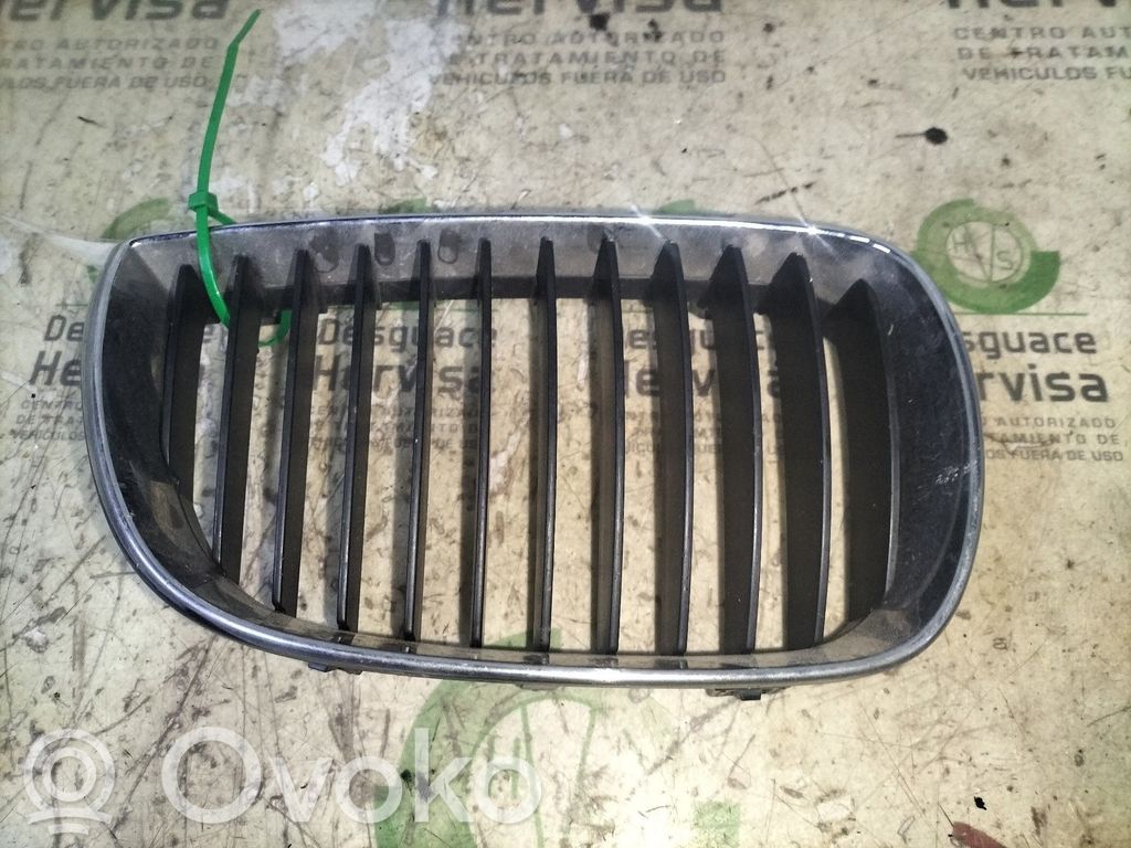 Grille d'aile   71286149