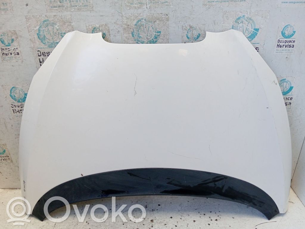 Vano motore/cofano