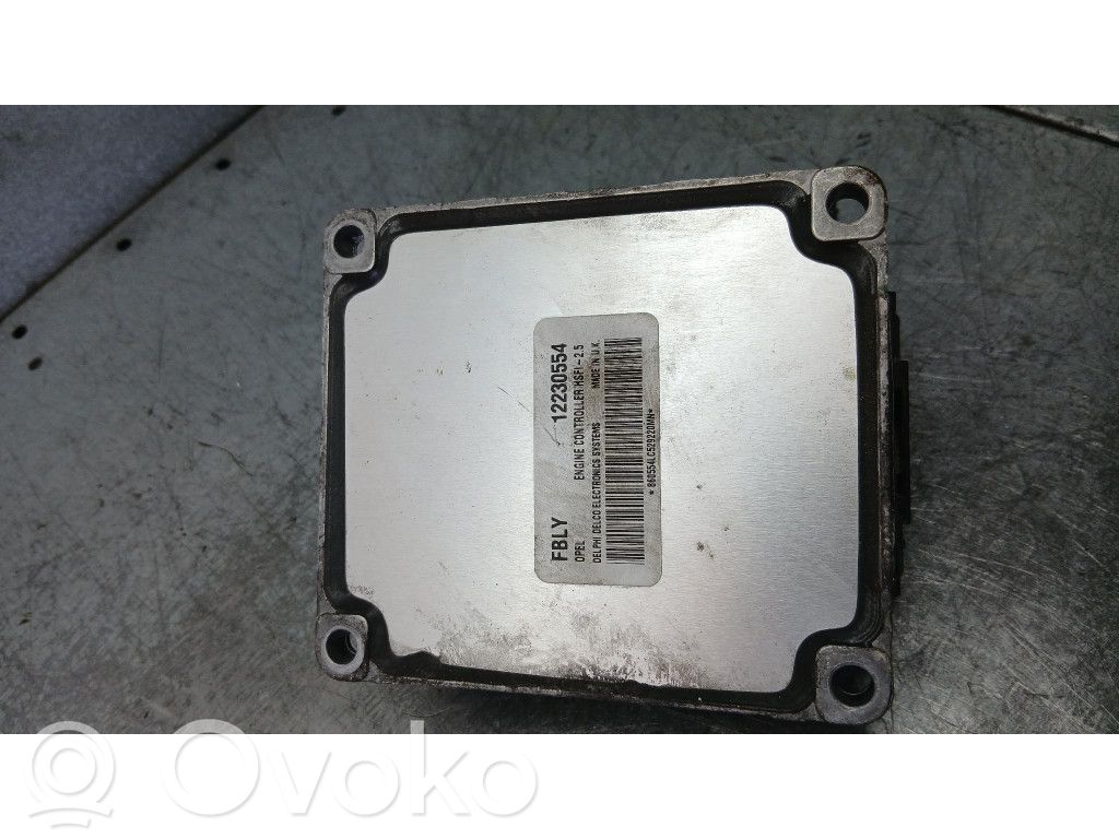 Engine control unit/module ECU   12230554,12230554