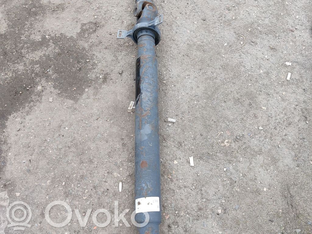 Drive shaft (set)   1229291