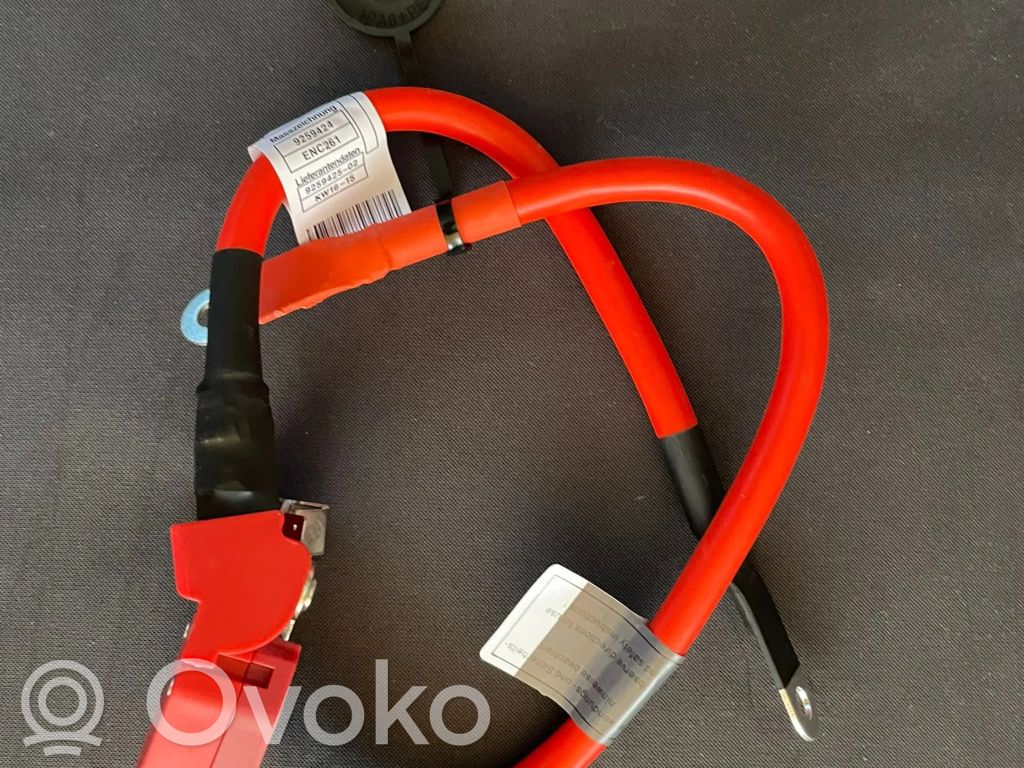 BMW 3 F30 F35 F31 Pluskaapeli (akku) 