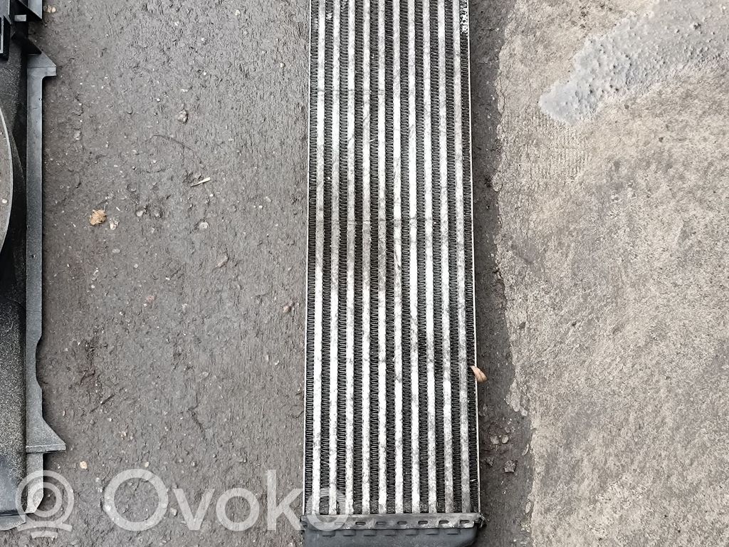 BMW X5 E53 Interkūlerio radiatorius 
