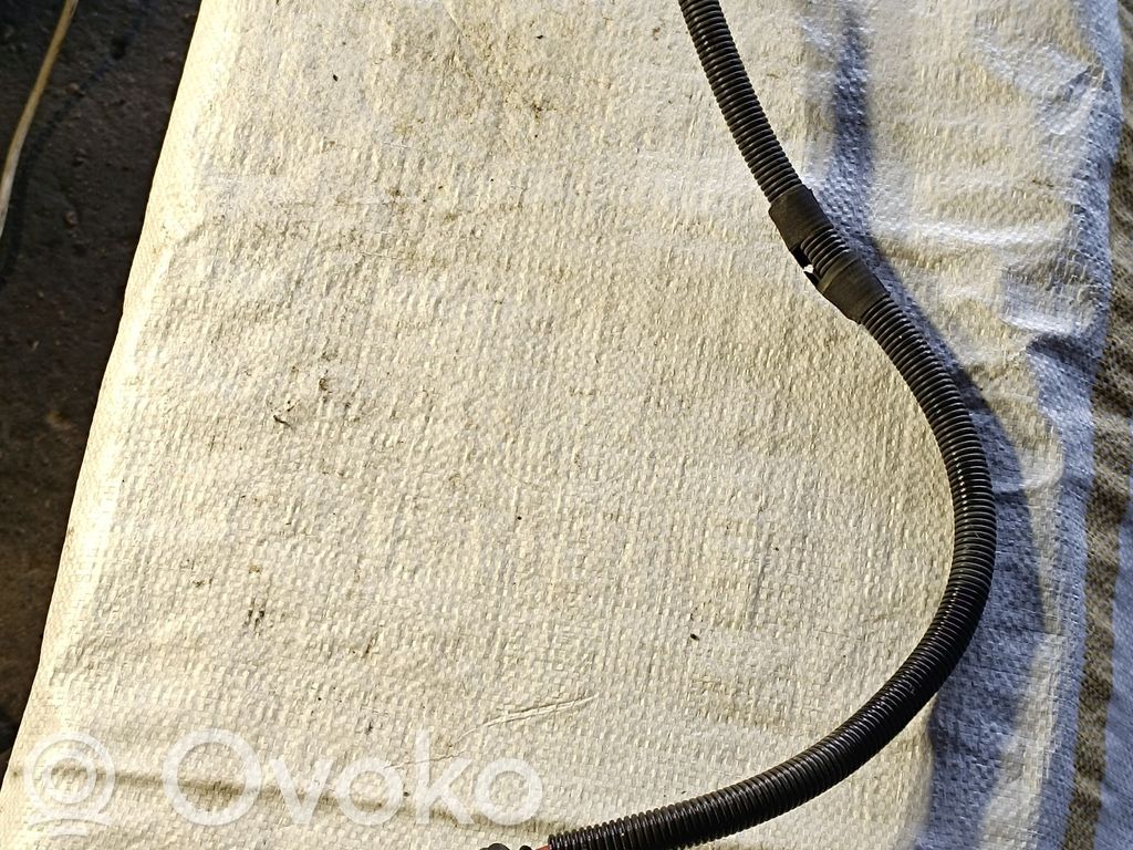 Plusa vads (akumulatora)   143955903,1439559