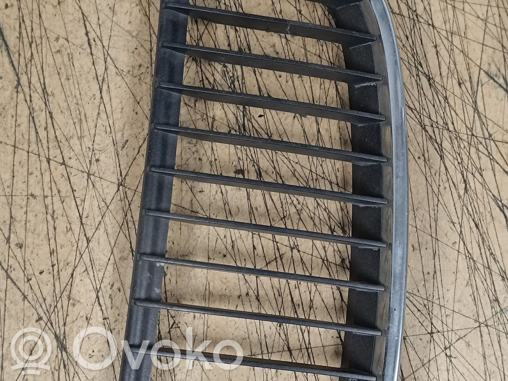 Kühlergrill   22405910,224059