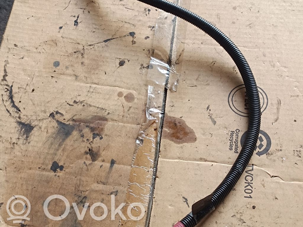 Positive cable (battery)   779135201,7791352