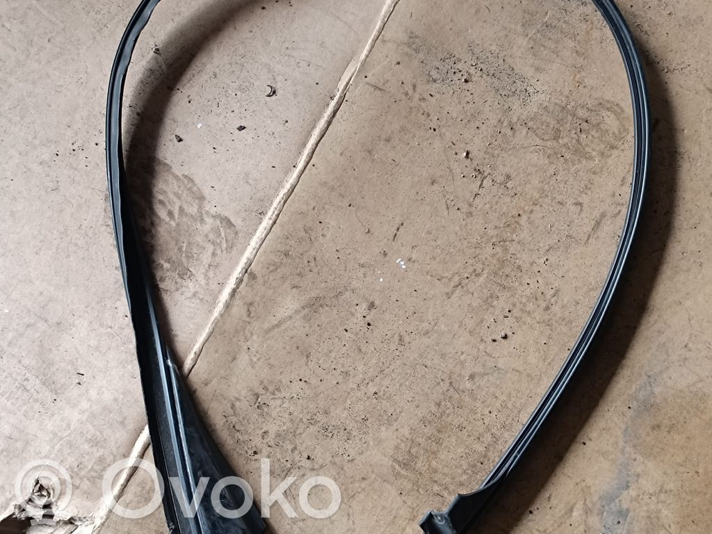 BMW X5 E70 Ornament geam ușă față 
