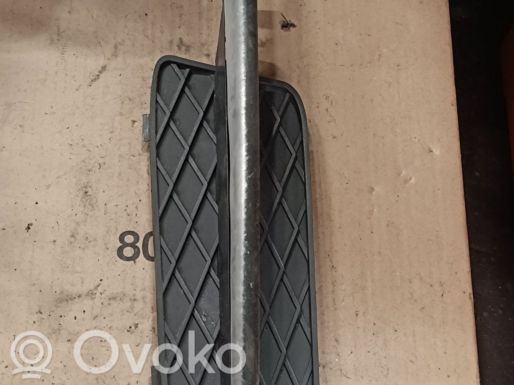 BMW X5 E70 Front bumper lower grill 