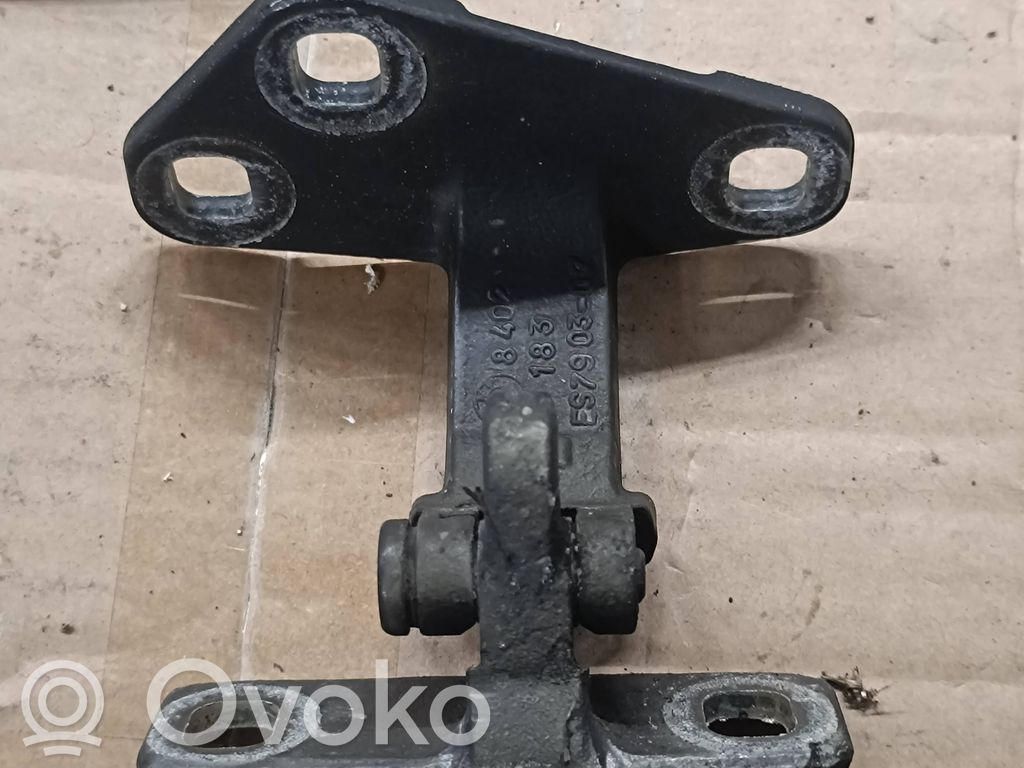 Tailgate/trunk/boot hinge   8402183