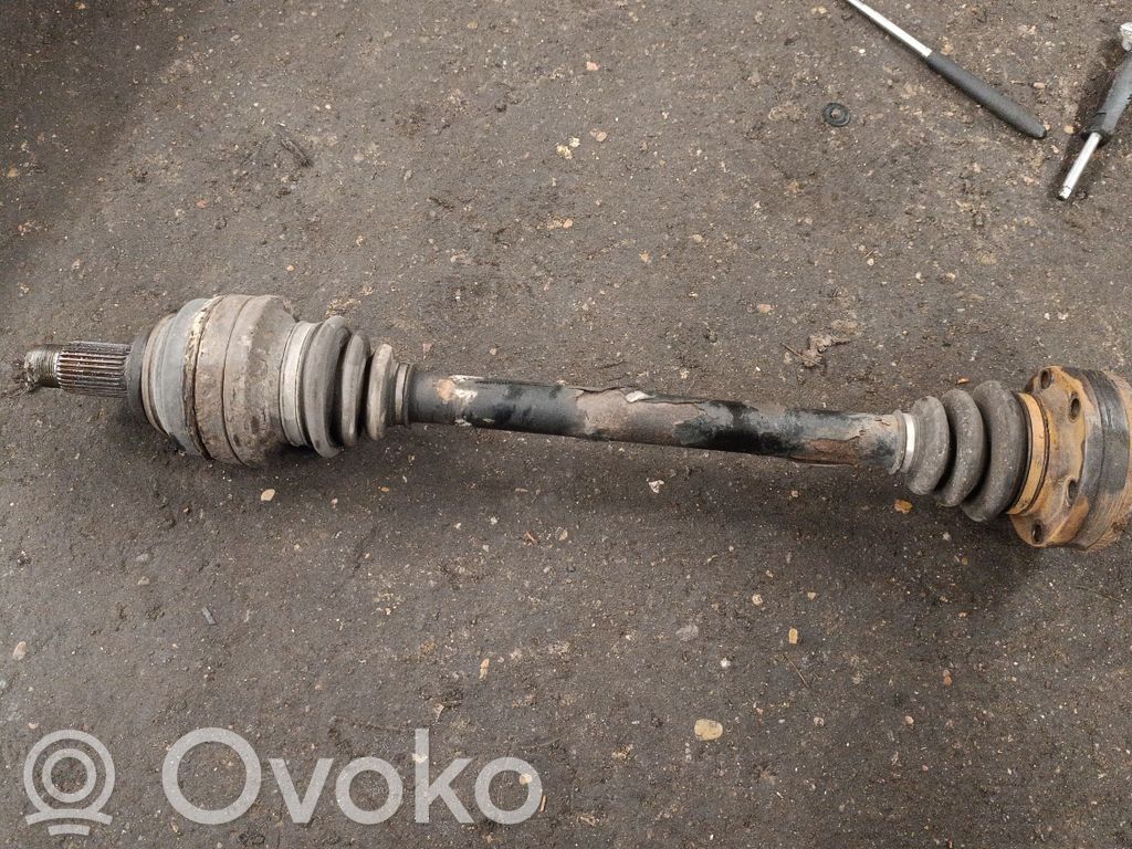 Aizmugurējā pusass   7500916