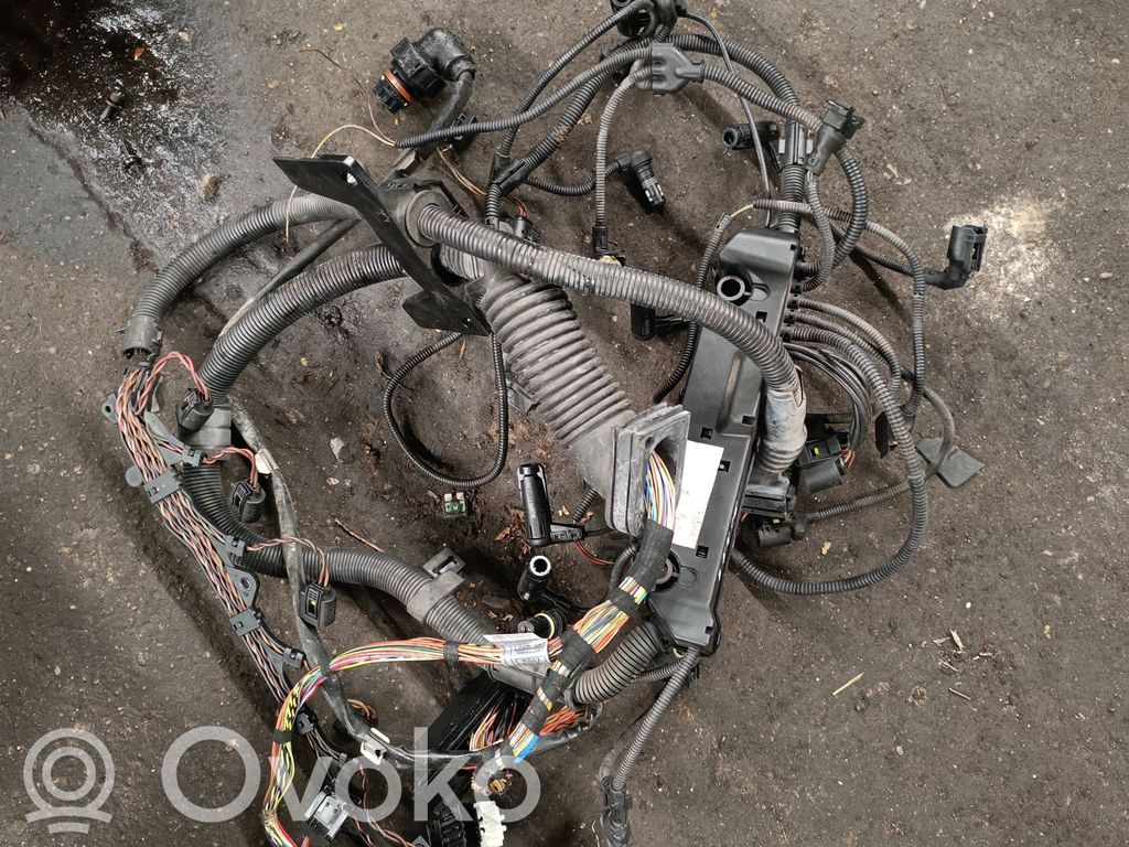 BMW X5 E53 Проводка двигателя 