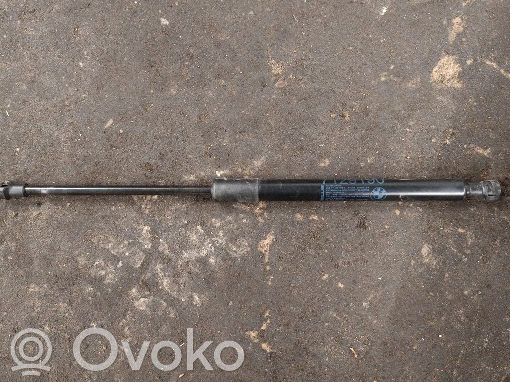 Konepellin kaasujousi   51237129190