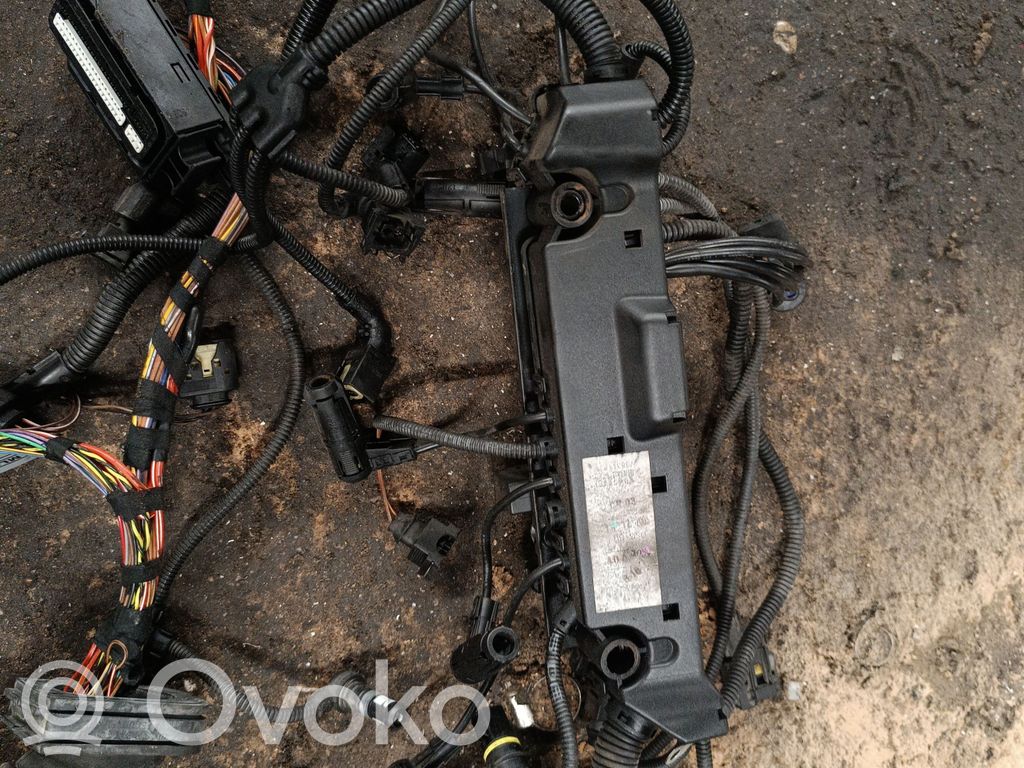 Проводка двигателя   7790765,7790770