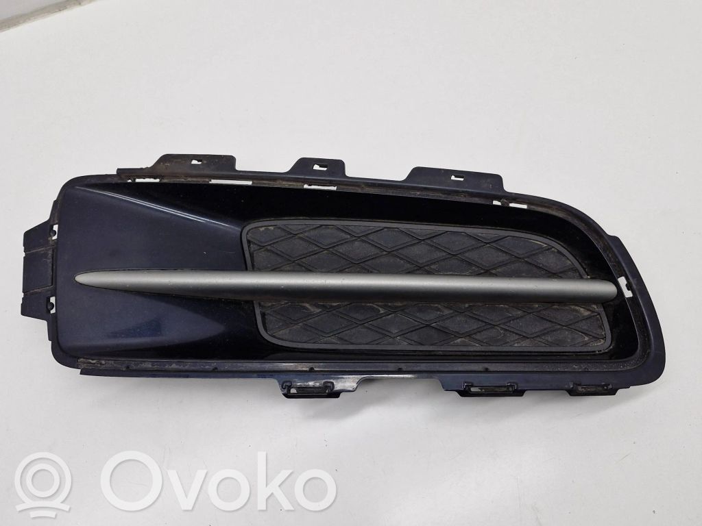 BMW X5 E70 Front bumper lower grill 