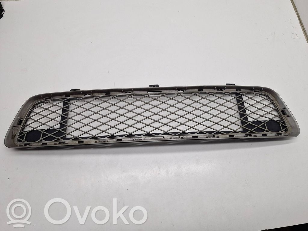 BMW X5 E70 Front bumper lower grill 