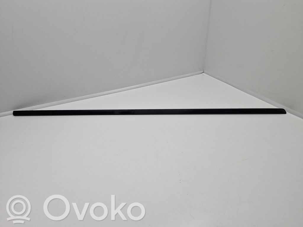 BMW X5 E70 Front door trim (molding) 