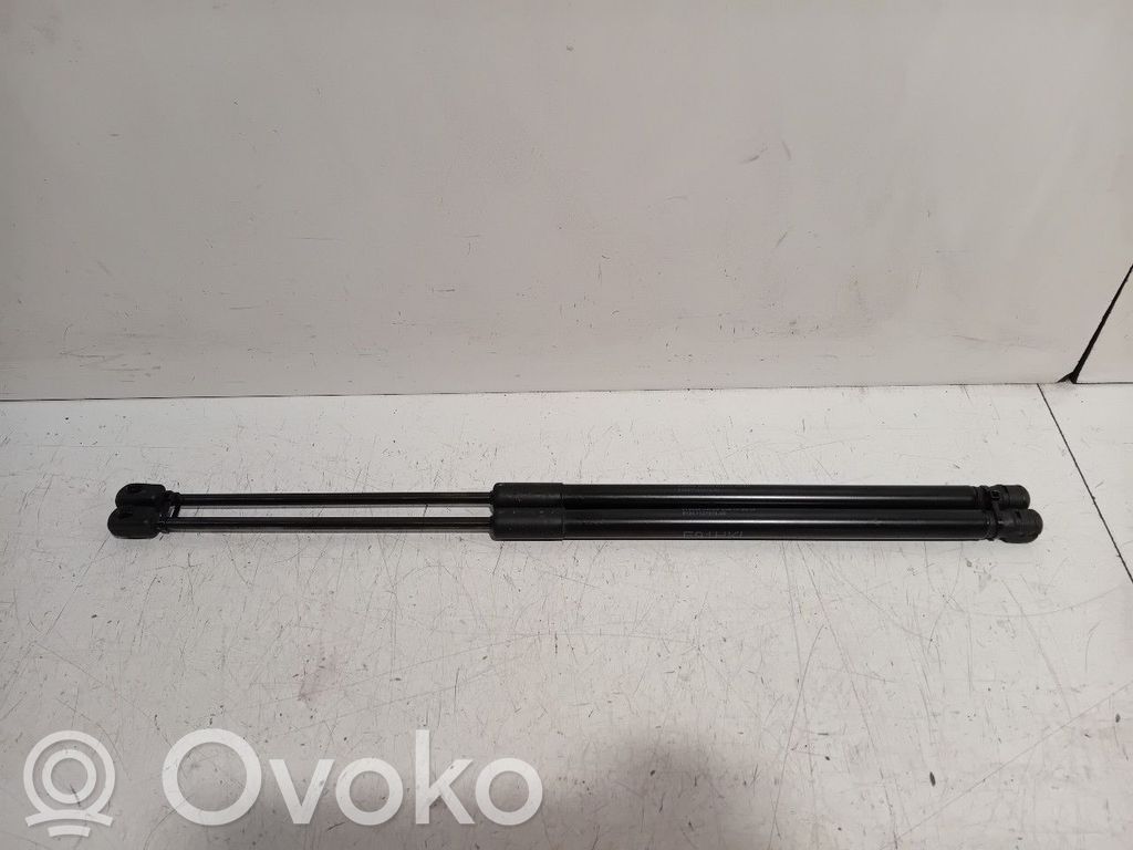 Tailgate/trunk strut/damper   7127875