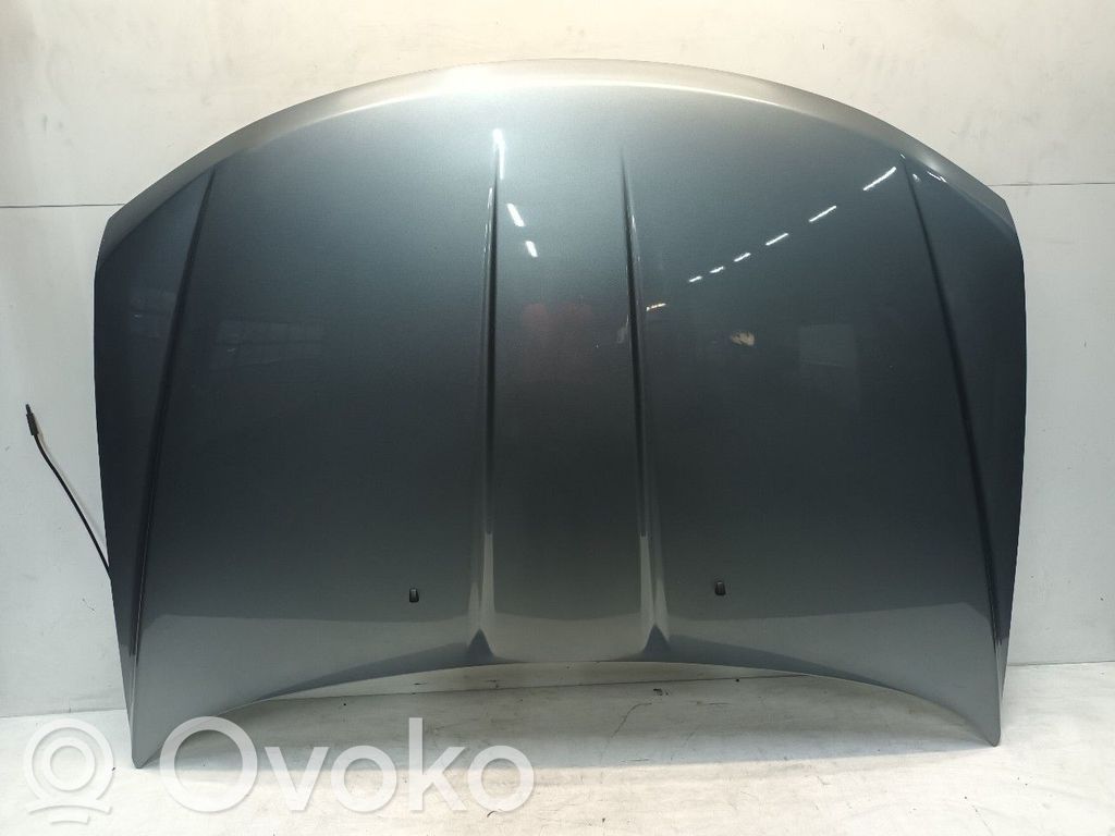Motorhaube