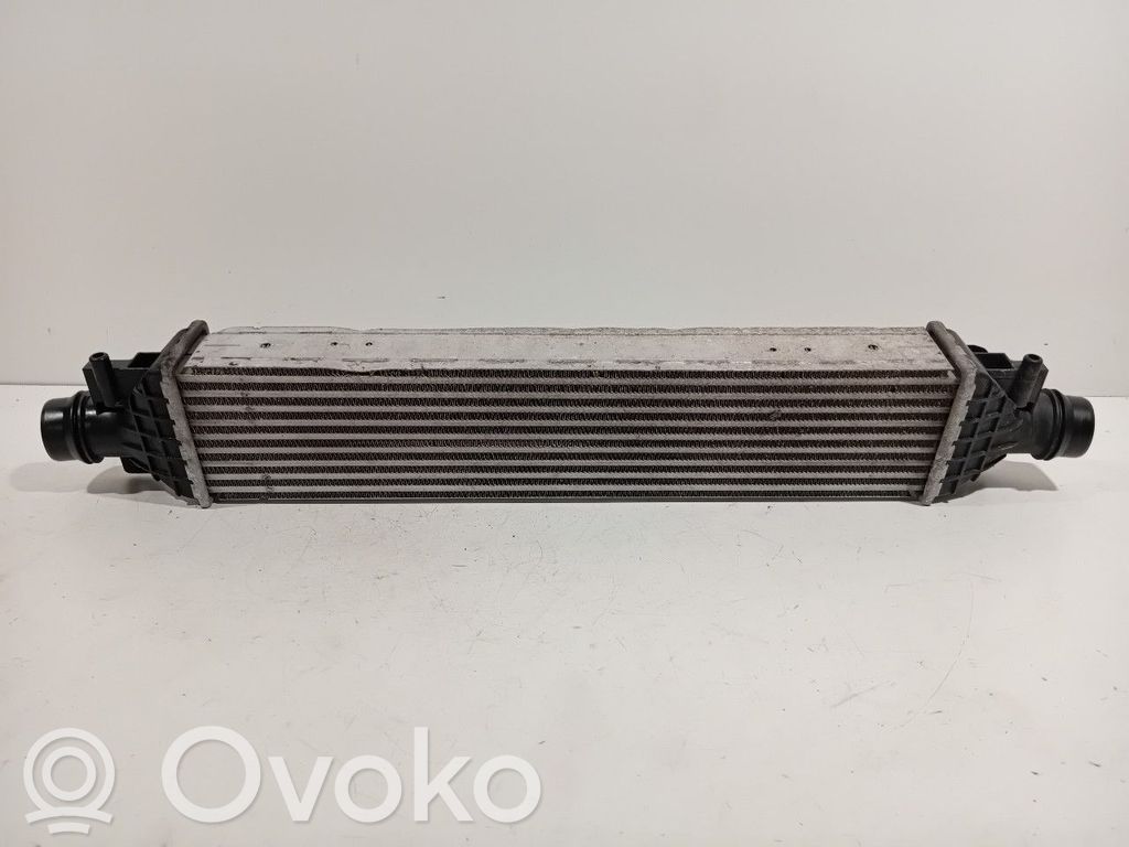 Interkūlerio radiatorius   95026333