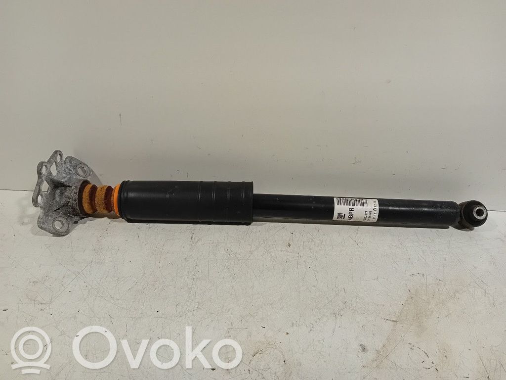 Stoßdämpfer hinten   13432671,13432673