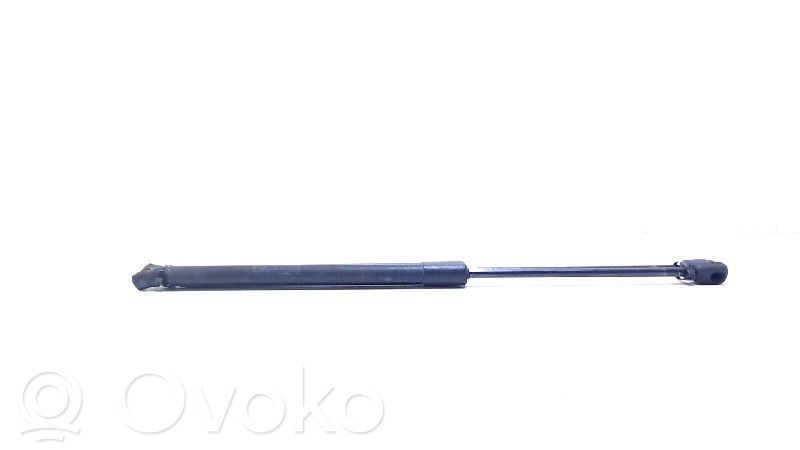 Tailgate/trunk strut/damper