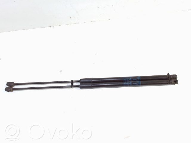 Tailgate/trunk strut/damper   315005777