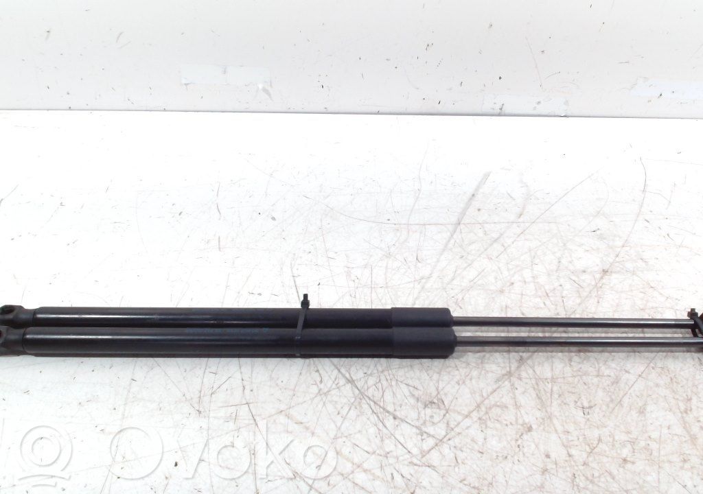 Tailgate/trunk strut/damper