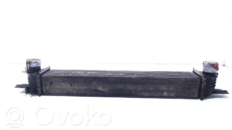 Citroen Nemo Interkūlerio radiatorius 