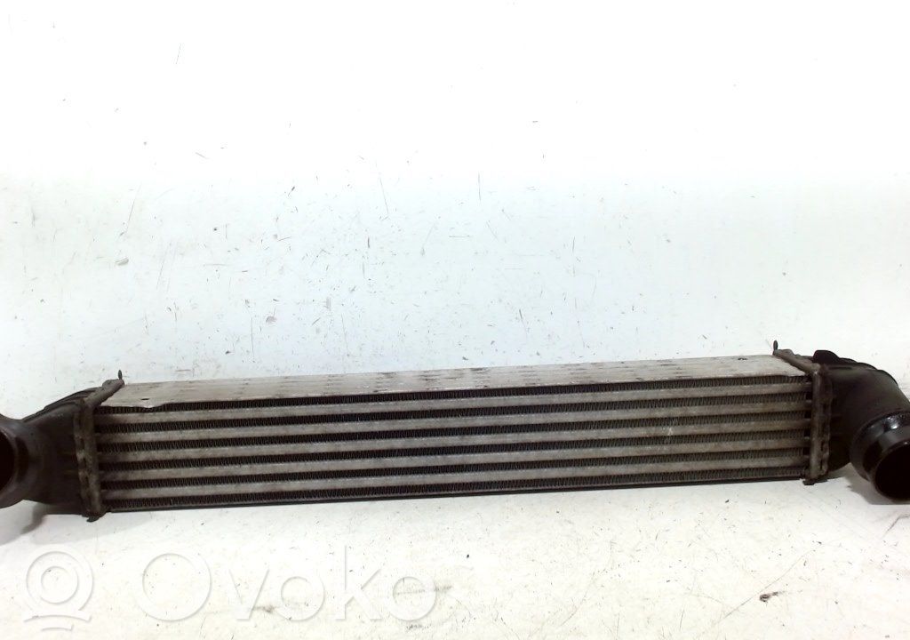 Mini Cooper Countryman R60 Ladeluftkühler 