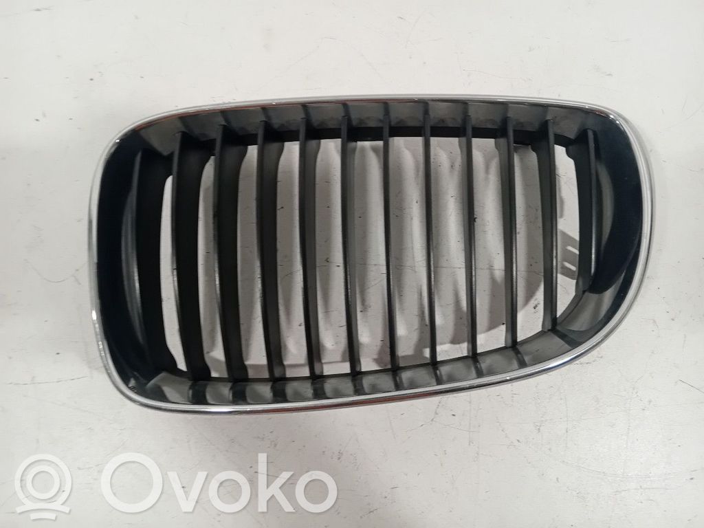 Kühlergrill   7166439