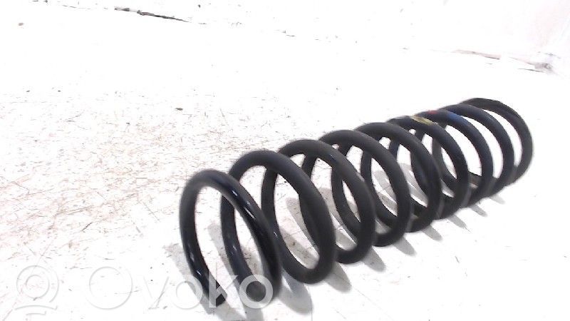 Rear coil spring