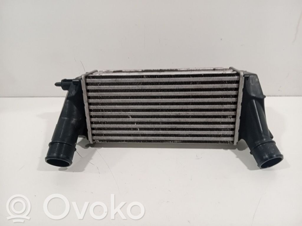 Ford Fiesta Intercooler radiator 