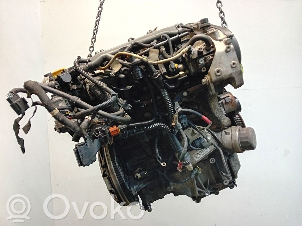 Variklis   955A3000