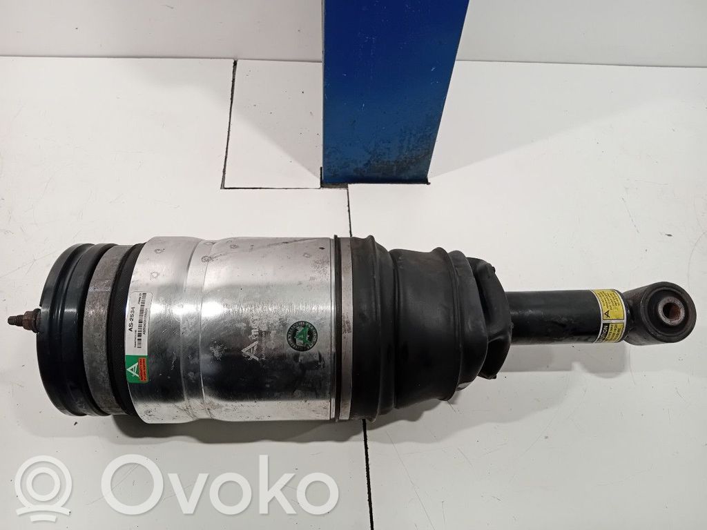 Amortyzator tylny   AS2534,RPD501030