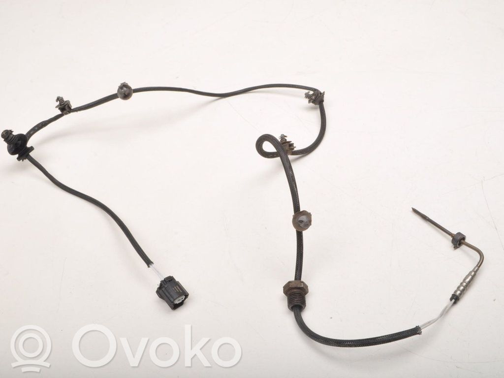 Sensor de temperatura del escape   10676402