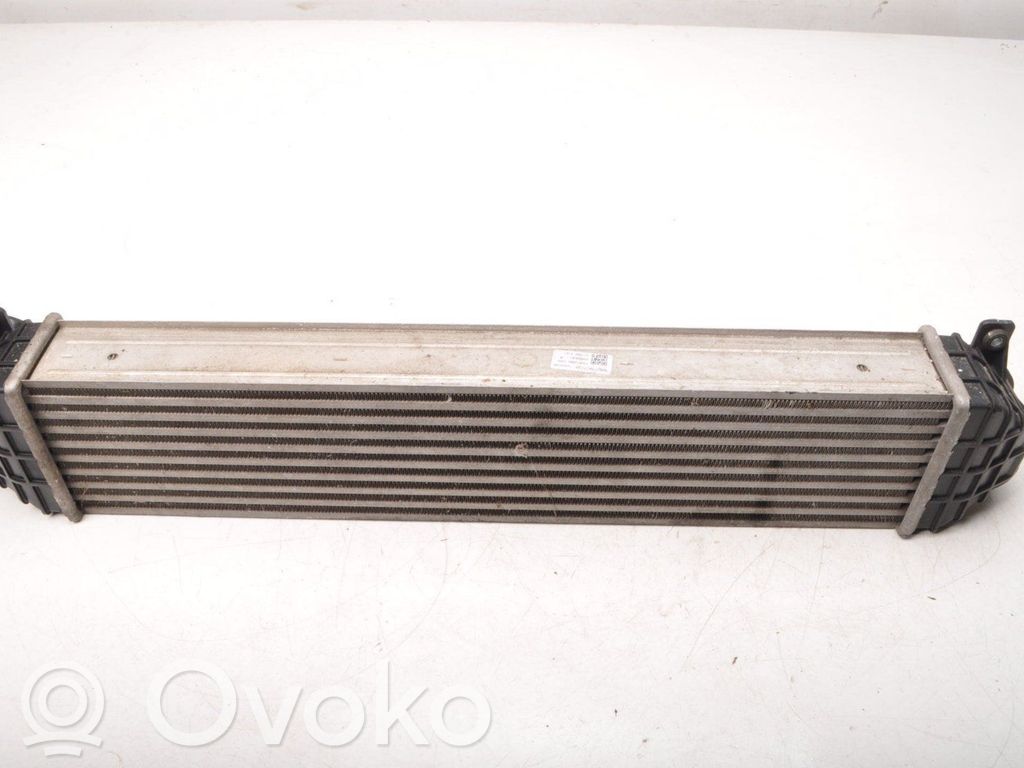 Chłodnica powietrza doładowującego / Intercooler   10245769