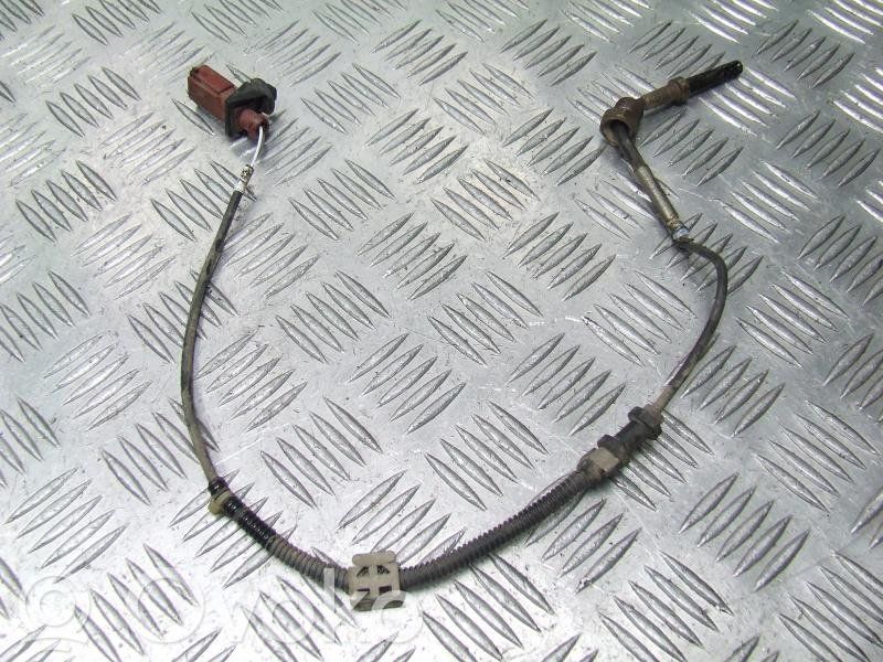 Skoda Fabia Mk2 (5J) Exhaust gas temperature sensor 