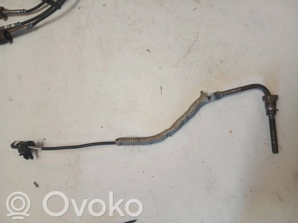 Volvo S80 Exhaust gas temperature sensor 