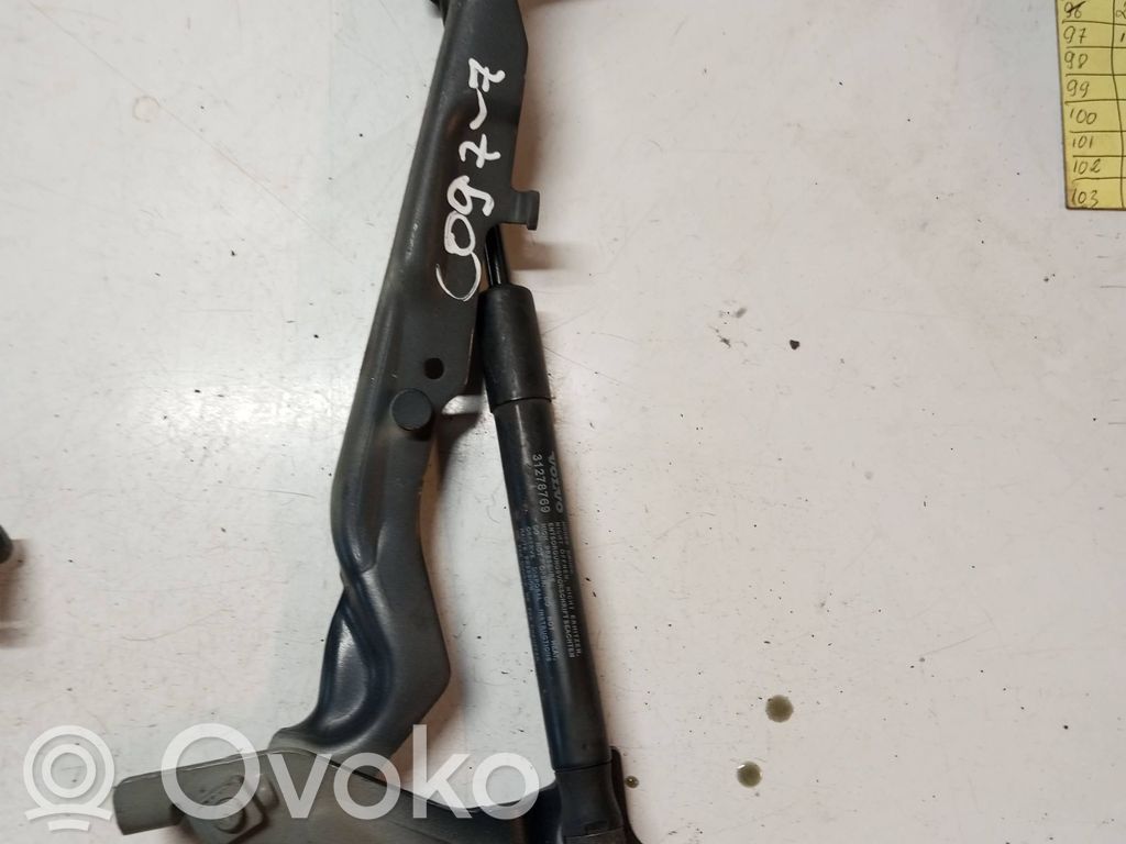 Volvo V60 Dzinēja pārsega eņģe (-es) 