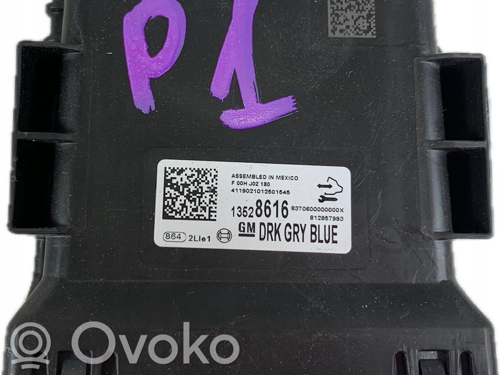 Gateway control module   13528616