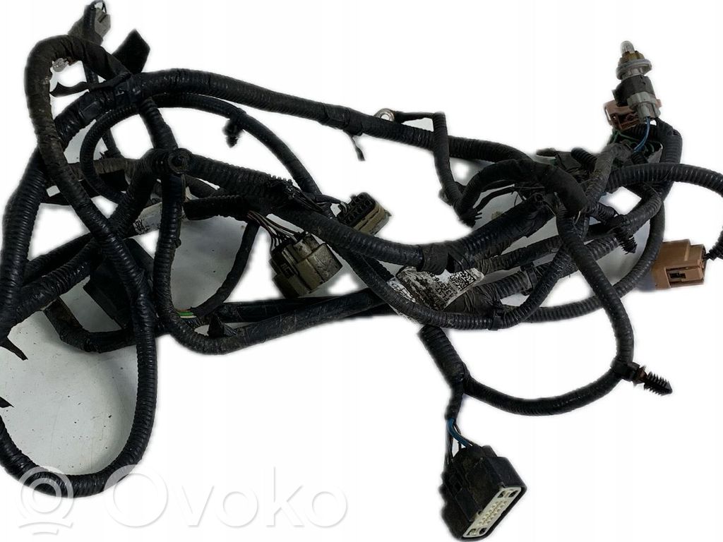 Mazo de cables   FL3T13A576BF