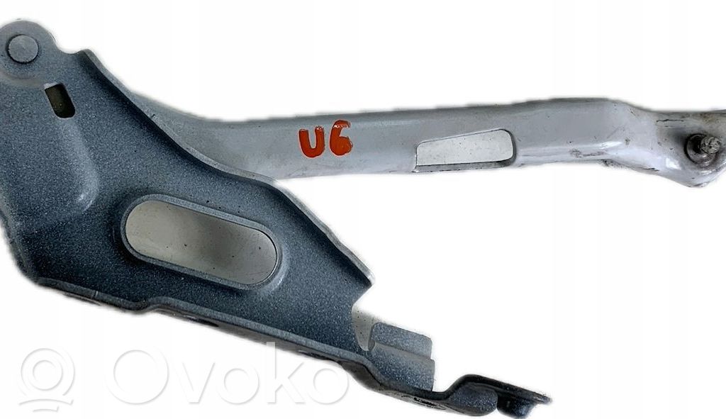 Ford F150 Zawiasy pokrywy / maski silnika 