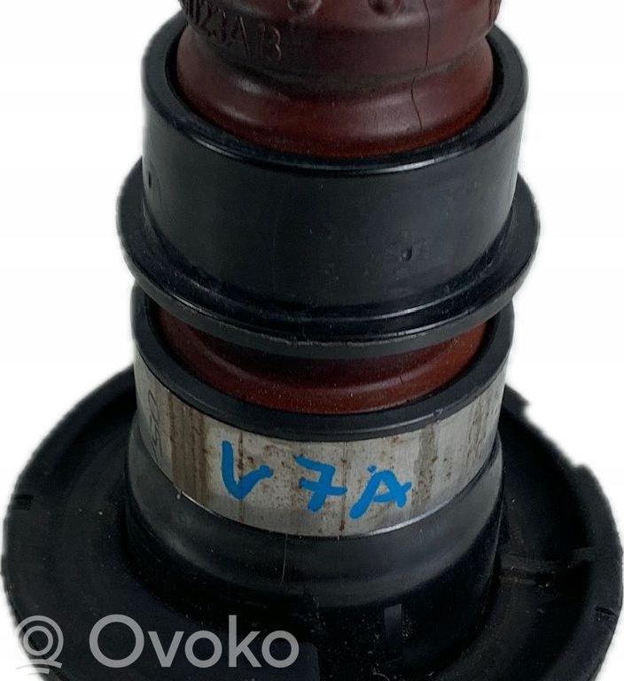Chrysler Pacifica Feder hinten 