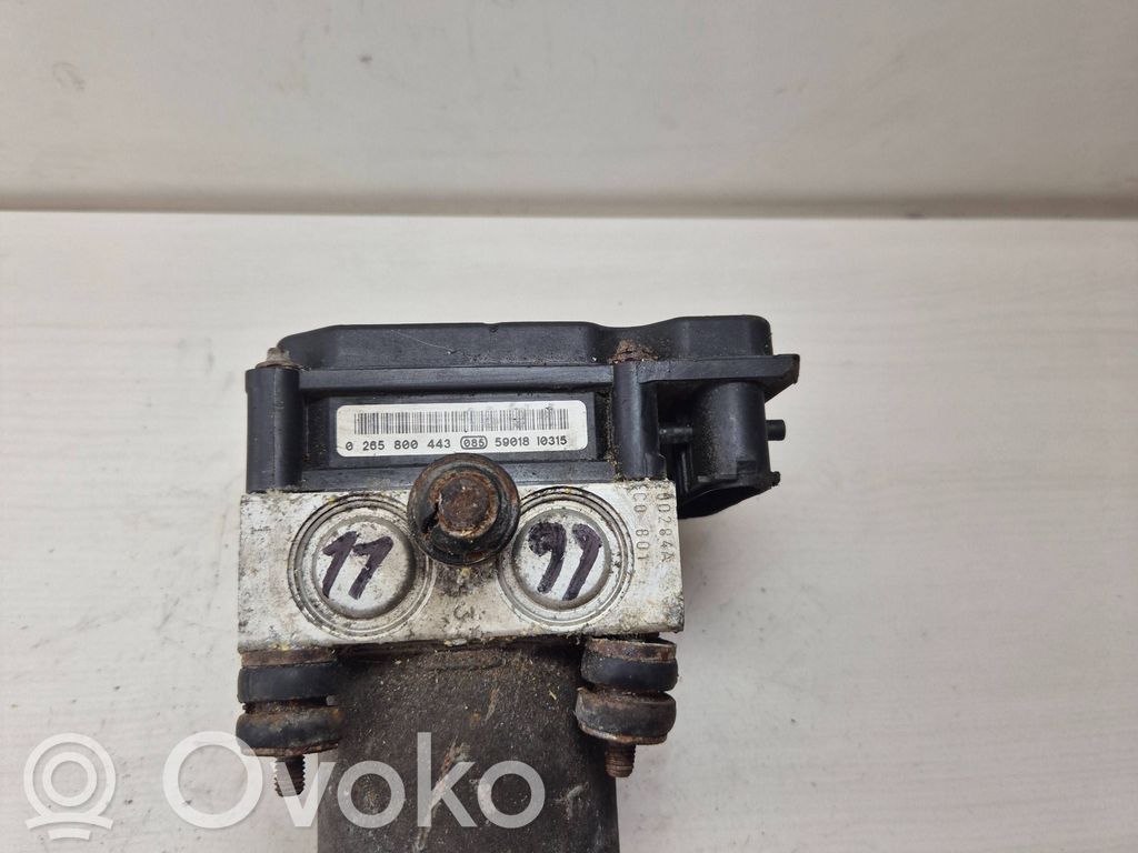 ABS Pump   0265800443