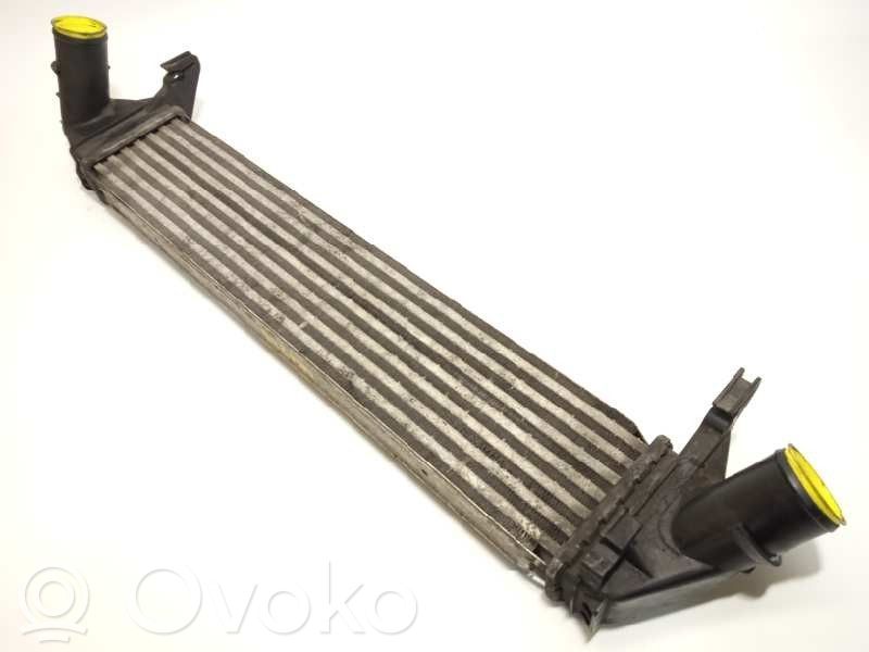 Dacia Duster Interkūlerio radiatorius 