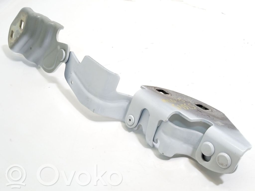 Tesla Model S Tailgate/trunk/boot hinge 