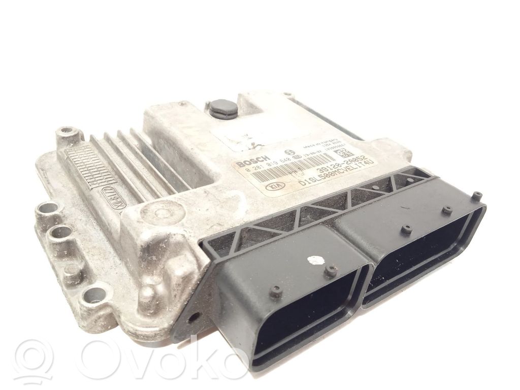 Unidad de control/módulo del motor   391202A052,0281019640